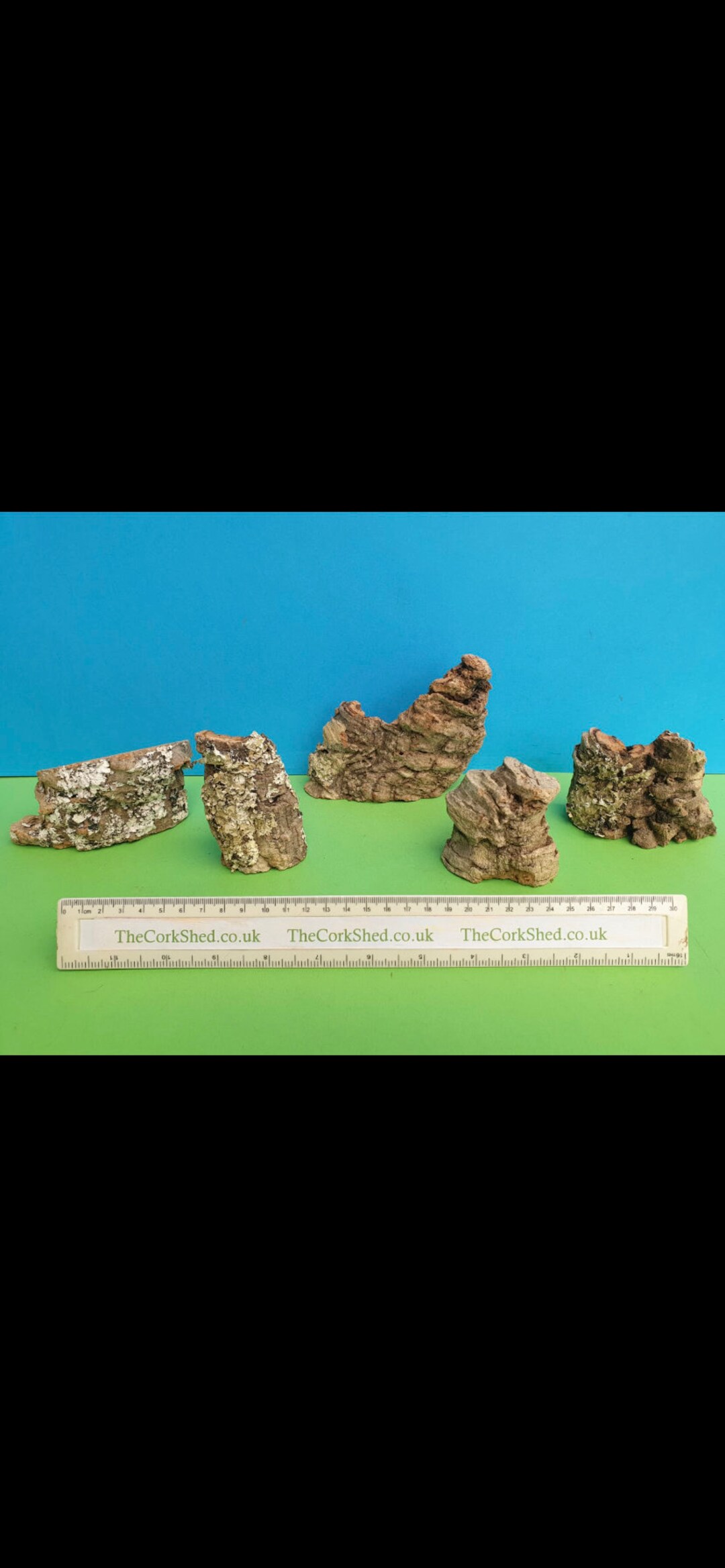 Cork Bark Rock Faces X5 Etsy UK