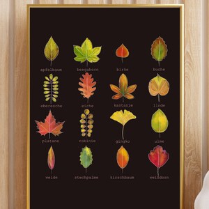 Impresión de otoño ? identificación de árboles de hojas de colores | Póster de aprendizaje Montessori con formas de hojas locales | Impresión A4 A3 para descargar, imprímalo usted mismo