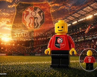 Rennes Stadium Figurine