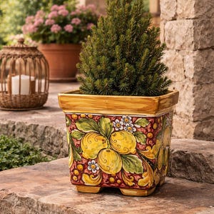 May include: A square ceramic planter with a hand-painted design of lemons and leaves. The planter is filled with a small evergreen tree. The planter sits on a stone surface, with other plants and a decorative lantern in the background.