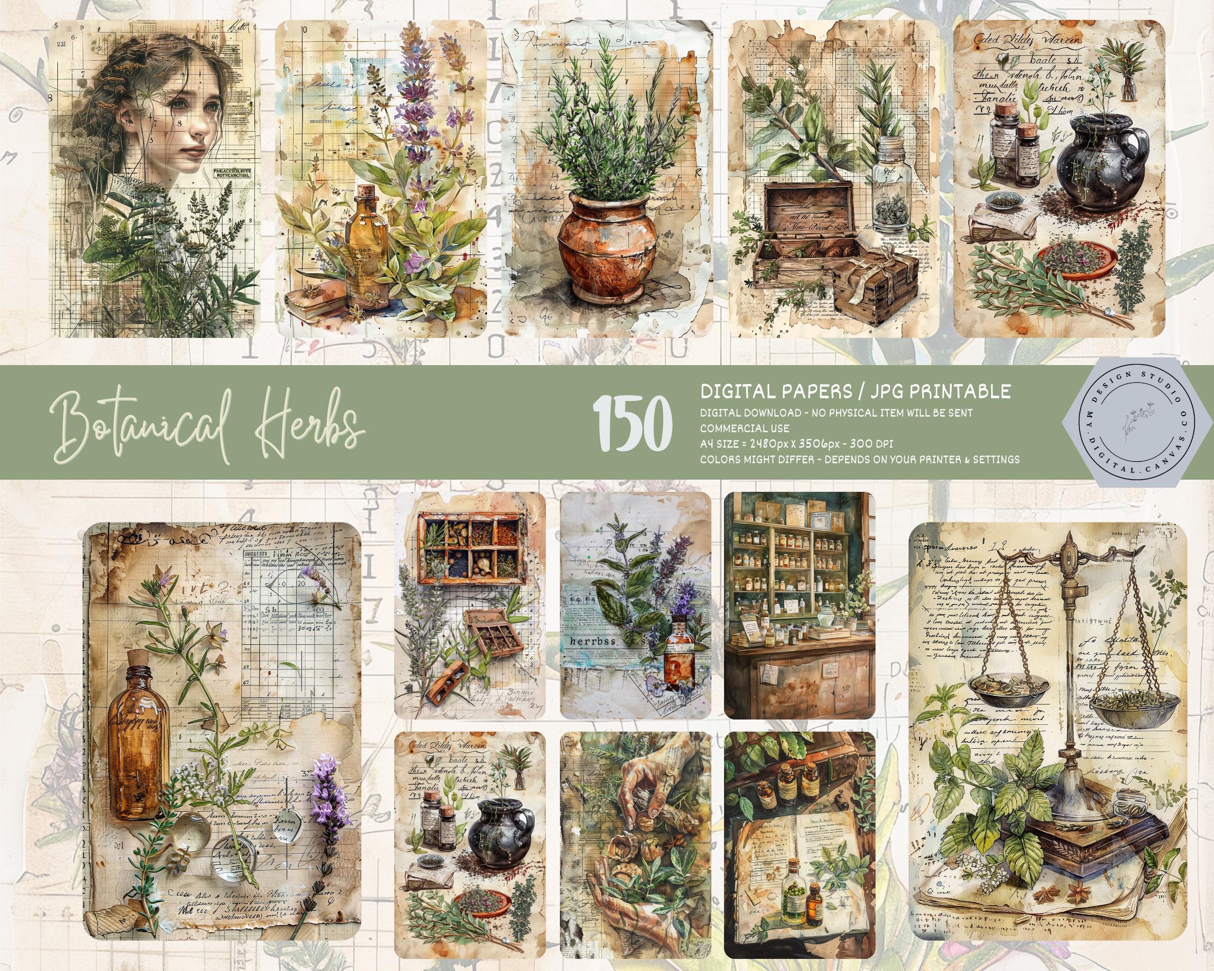 Botanical Herbs Junk Journal Pages Digital Download, Vintage Herbal ...