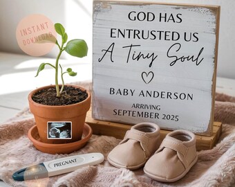 May include: A pregnancy announcement with a wooden sign that reads "GOD HAS ENTRUSTED US A Tiny Soul" with the baby's name and due date. The image includes baby shoes, a potted plant, a sonogram, and a pregnancy test.