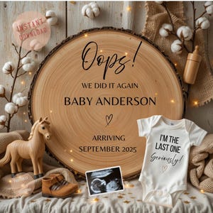 We Did It Again Pregnancy Announcement Funny Baby Reveal Social Media Baby Number 2 3 Announcement Gender Neutral Digital Editable Template