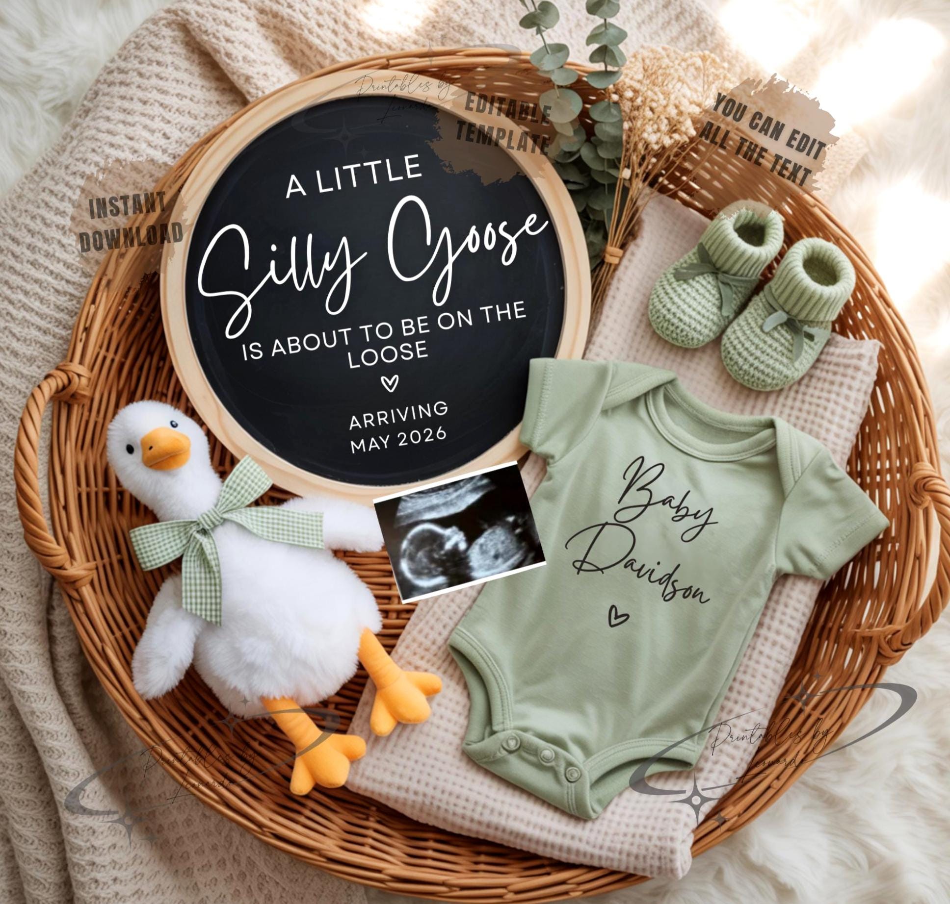 Silly Goose Pregnancy Announcement Digital Gender Neutral Baby Reveal ...