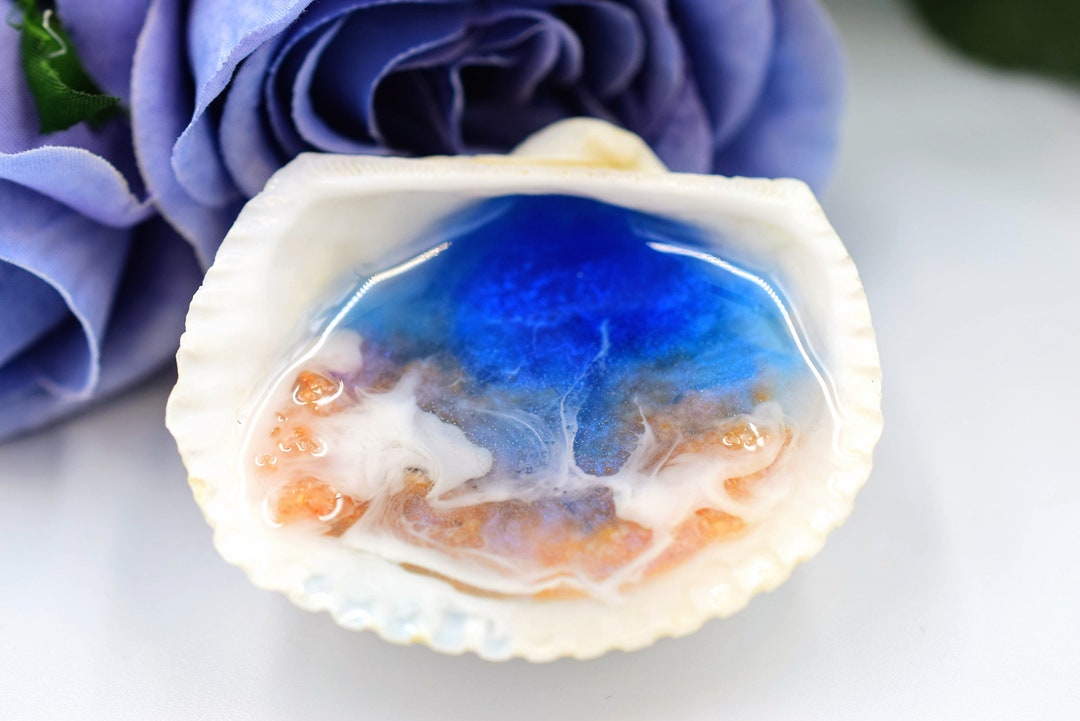 1 Set Natural Shell DIY Home Party Decoration Gift 90837 main image 0