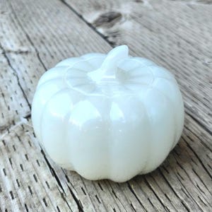 Può includere: Una piccola zucca decorativa bianca con finitura lucida. La zucca ha una consistenza a coste e un gambo sulla parte superiore. È probabilmente una decorazione a tema autunnale.