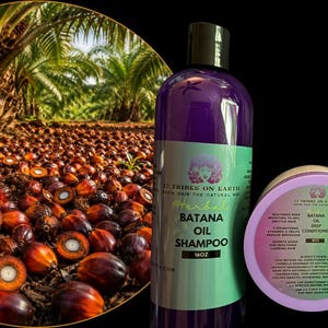 May include: Image features Batana Oil hair care products, including shampoo, conditioner, and leave-in conditioner, with a backdrop of palm trees and harvested palm fruits. The products are in purple bottles and containers with green and white labels.
