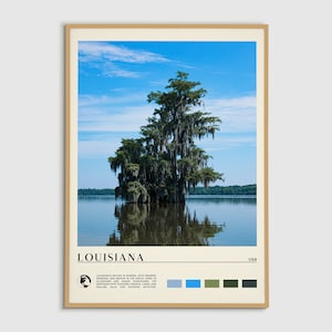 Digital Oil Paint, Louisiana Print, Louisiana Wall Art, Louisiana Poster, Louisiana Photo, Louisiana Poster Print, Louisiana Wall Decor, USA