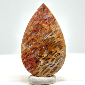 Palmroot Petrified Wood Cabochon | Garut, West Java | Natural Fossil Gemstone