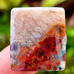 Feder opalisierter Holz Cabochon | Garut, West-Java | Natürlicher Fossiler Edelstein