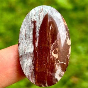 Könnte beinhalten: Ein ovaler Edelstein mit polierter Oberfläche. Der Stein weist eine Mischung aus Farben auf, darunter Dunkelbraun, Grau und Weiß, mit einem marmorierten Muster. Der Edelstein wird von einem Finger vor einem verschwommenen grünen Hintergrund gehalten.