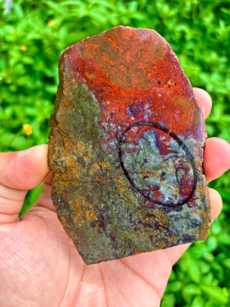 Very Nice Opalized Wood Slab Showin Wet and Dry Free Polished