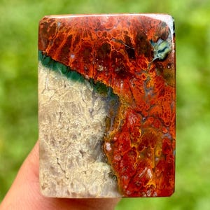 Könnte beinhalten: Ein rechteckiger Edelstein mit einem auffälligen Muster aus roten, orangefarbenen, grünen und beigen Farbtönen. Die Oberfläche des Steins zeigt eine Mischung aus Texturen, mit glatt polierten Bereichen und anderen mit einem rauen, natürlichen Aussehen. Der Edelstein wird vor einem verschwommenen grünen Hintergrund gehalten.