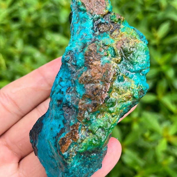 Palamea Gem Silica chrysocolla espécimen / Muy bonito color y debe tener una hermosa criatura de Indonesia / Bacan Palamea se muestra húmedo y seco