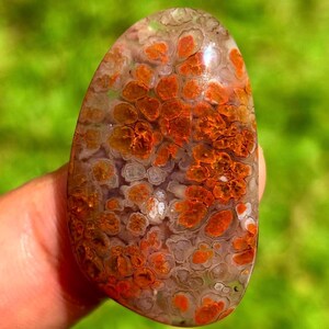 Könnte beinhalten: Ein polierter, oval geformter Edelstein mit einem Muster aus orangefarbenen und braunen Flecken. Der Stein hat eine durchscheinende Qualität mit weißen und klaren Bereichen. Der Hintergrund ist ein verschwommenes Grün.
