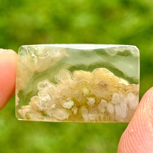 Plume Opalized Wood Cabochon | Garut, West Java | Natural Fossil Gemstone