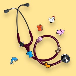15 Charms Animaux Pour Stéthoscope - Décorations Mignonnes Pour Médecins, Infirmières, Vétérinaires - 6