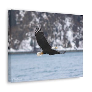 Bald Eagle Canvas, Eagle Wall Art, Eagle Canvas, Bald Eagle Canvas Gallery Wrap 14 x 11