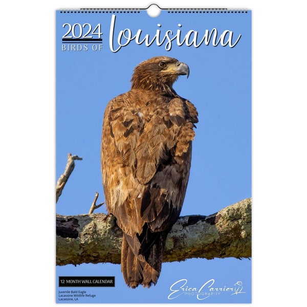Bird 2024 Calendar Etsy