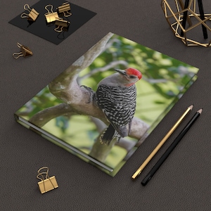 Bird Journal, Woodpecker Journal, Simple Journal, Red Bellied Woodpecker Hardcover Journal Matte