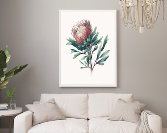 Watercolor Waratah Australian Native Plant Flowers Digital Wall Art JPEG Watercolour Home Decor A1
