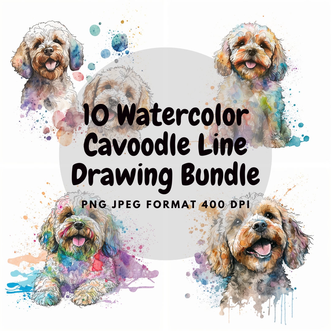 Happy Cavoodle Watercolor Line Drawing Clipart Cavapoo Dog PNG ...