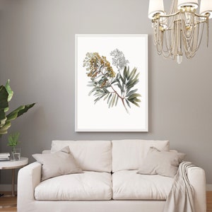 Acuarela Golden Wattle Flor nativa australiana Arte de pared digital JPEG Acacia Pycnantha Acuarela Decoración del hogar A1
