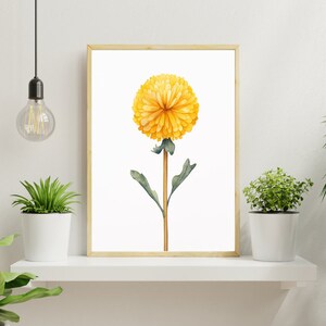 May include: A watercolour painting of a single yellow flower with green leaves on a white background. The flower is in a simple frame.