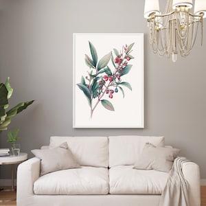 Watercolor Lilly Pilly Australian Native Plant Flowers Digital Wall Art JPEG Syzygium Smithii Watercolour Home Decor A1