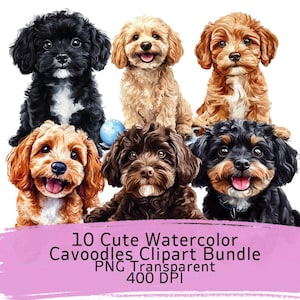 Puede incluir: Un conjunto de imágenes prediseñadas de acuarela con 10 adorables cachorros Cavapoo en varios colores, incluyendo negro, marrón y canela. Los cachorros tienen pelaje esponjoso y expresiones felices. La imagen incluye el texto: "10 Cute Watercolor Cavoodles Clipart Bundle PNG Transparent 400 DPI."