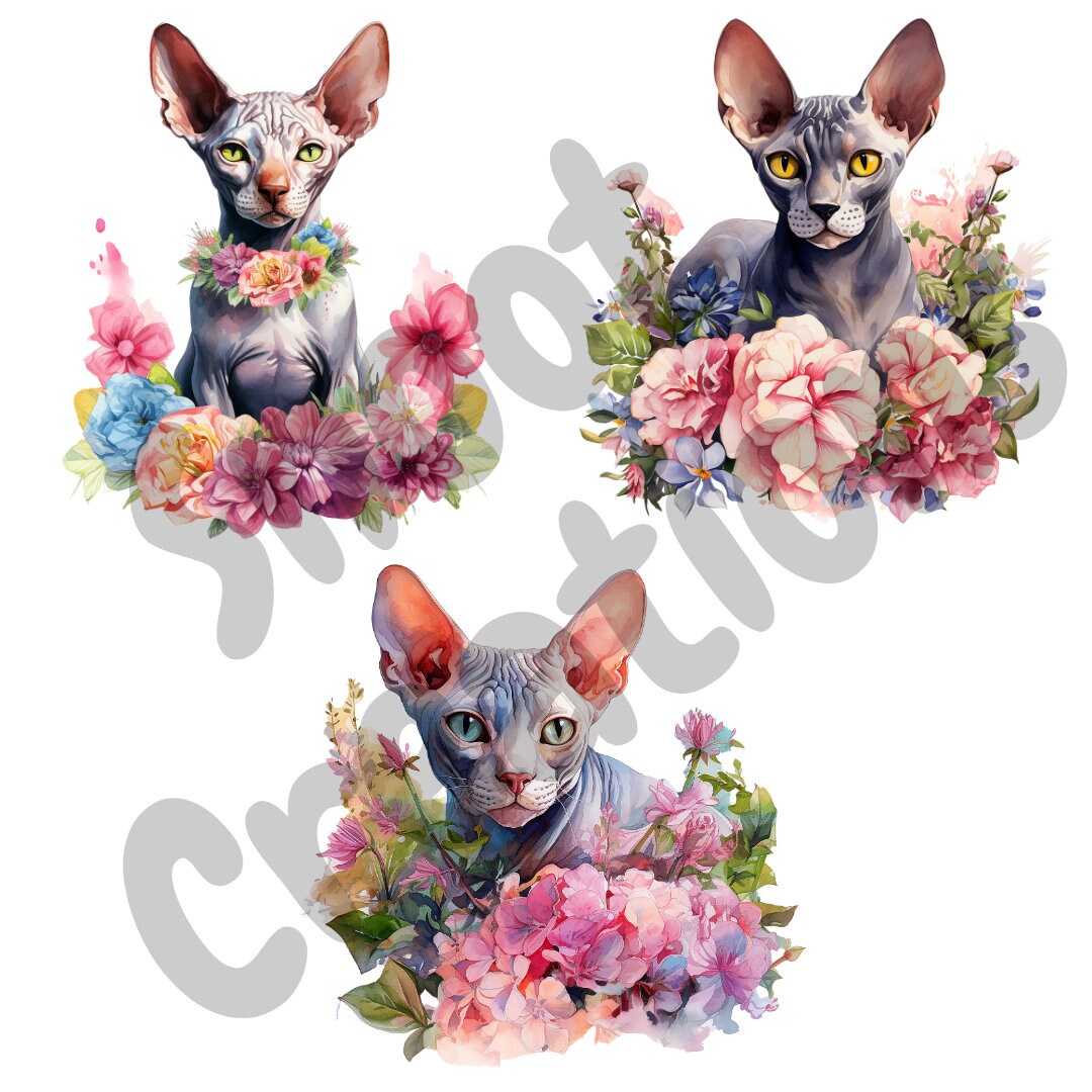 Watercolor Sphynx Cat With Flowers Clipart Cat PNG Transparent ...