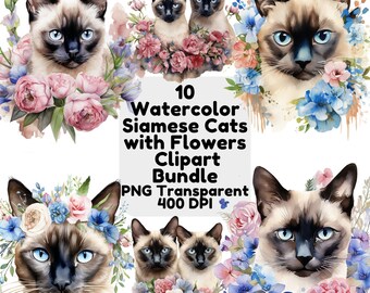 Watercolor Sphynx Cat With Flowers Clipart Cat PNG Transparent ...