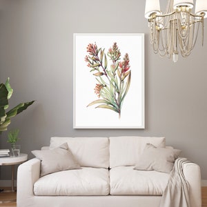 Watercolor Kangaroo Paw Australian Native Plant Flowers Digital Wall Art JPEG Anigozanthos Watercolour Home Decor A1