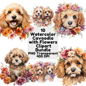 Watercolor Cavoodle with Flowers Clipart Cavapoo Dog PNG Transparent Puppy Cute Cavadoodle Watercolour Floral Illustration Instant Download