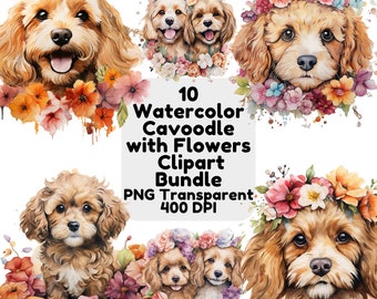 Watercolor Cavoodle with Flowers Clipart Cavapoo Dog PNG Transparent Puppy Cute Cavadoodle Watercolour Floral Illustration Instant Download