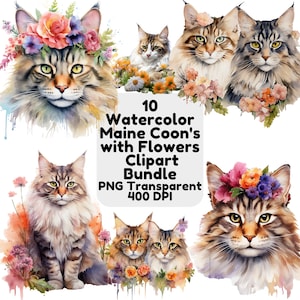 Watercolor Maine Coon with Flowers Clipart Cat PNG Transparent Background Kitten Cute Watercolour Floral Illustration Instant Download