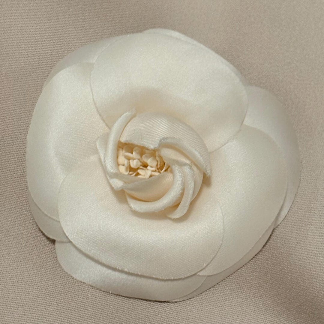il_1080xN.7753480250_njlr.jpg