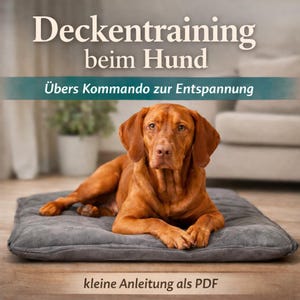 May include: A Vizsla dog lying on a gray dog bed. The dog has reddish-brown fur and is looking at the camera. The image has text at the top that reads "Deckentraining beim Hund" and "Übers Kommando zur Entspannung". The bottom text reads "kleine Anleitung als PDF".