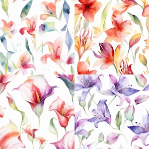 Puede incluir: Un patrón sin costuras con ilustraciones de acuarela de varias flores en tonos de rojo, rosa, morado y amarillo. Las flores están dispuestas en un patrón aleatorio sobre un fondo blanco.