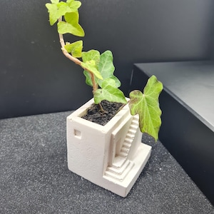 Puede incluir: Una pequeña maceta blanca de estilo arquitectónico con una escalera en miniatura y una ventana cuadrada. La maceta contiene tierra y una pequeña planta de hiedra con hojas verdes. El fondo es oscuro.