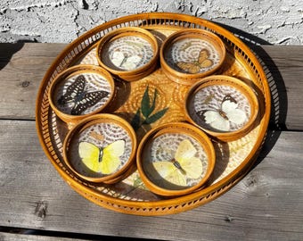 Vintage Bamboo Serving Tray and Coaster Set, Preserved Butterflies
