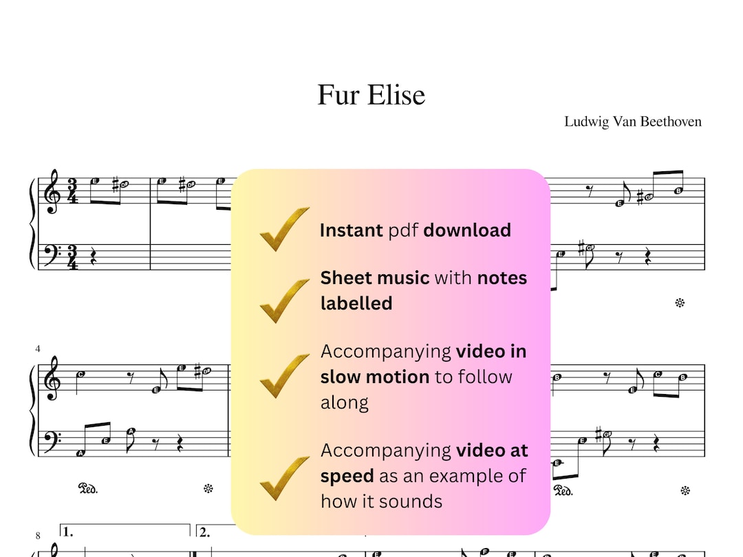 Fur Elise Piano Sheet Music With Notes Labelled - Etsy
