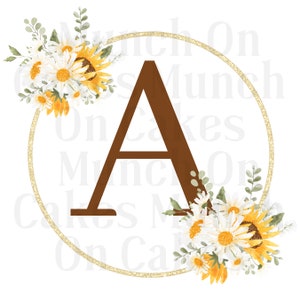 Monogram Digital File Bundle, Last Name Monogram, Initial Monogram, Alphabet Clipart, Png/Jpg/Svg