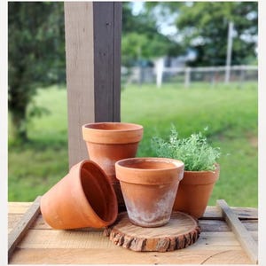 May include: Three terracotta plant pots in varying positions. One pot is tilted on its side, one stands upright in the center, and a third pot contains a small green plant. The pots have a natural reddish-brown clay color with visible white mineral deposits.