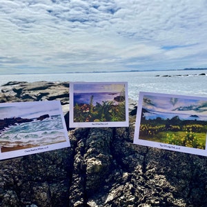 Variety Pack of East Point Note Cards (3 Pack)