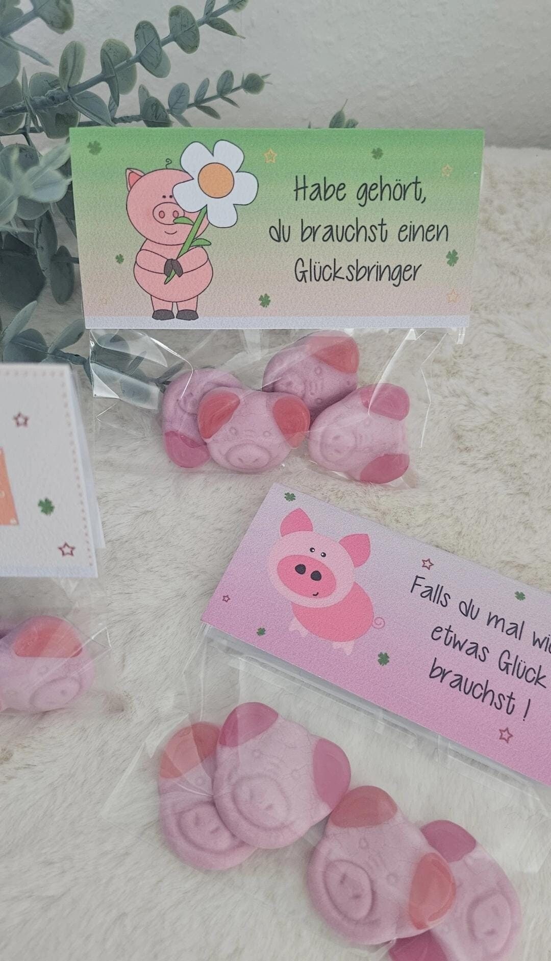 Glückschweine Geburtstag lustige Gastgeschenke Freunde Freundin