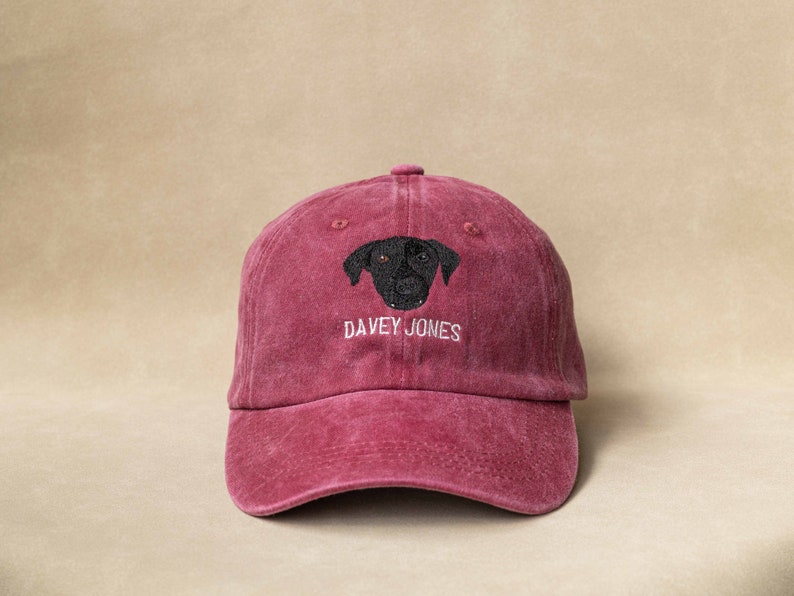 Custom EMBROIDERED Pet Hat Using Pet Photo Personalized Dog Hat Custom Cat Hat image 4