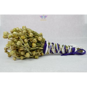 May include: A bundle of dried herbs tied with white and purple twine. The herbs are green and have small, round, light brown seed pods.