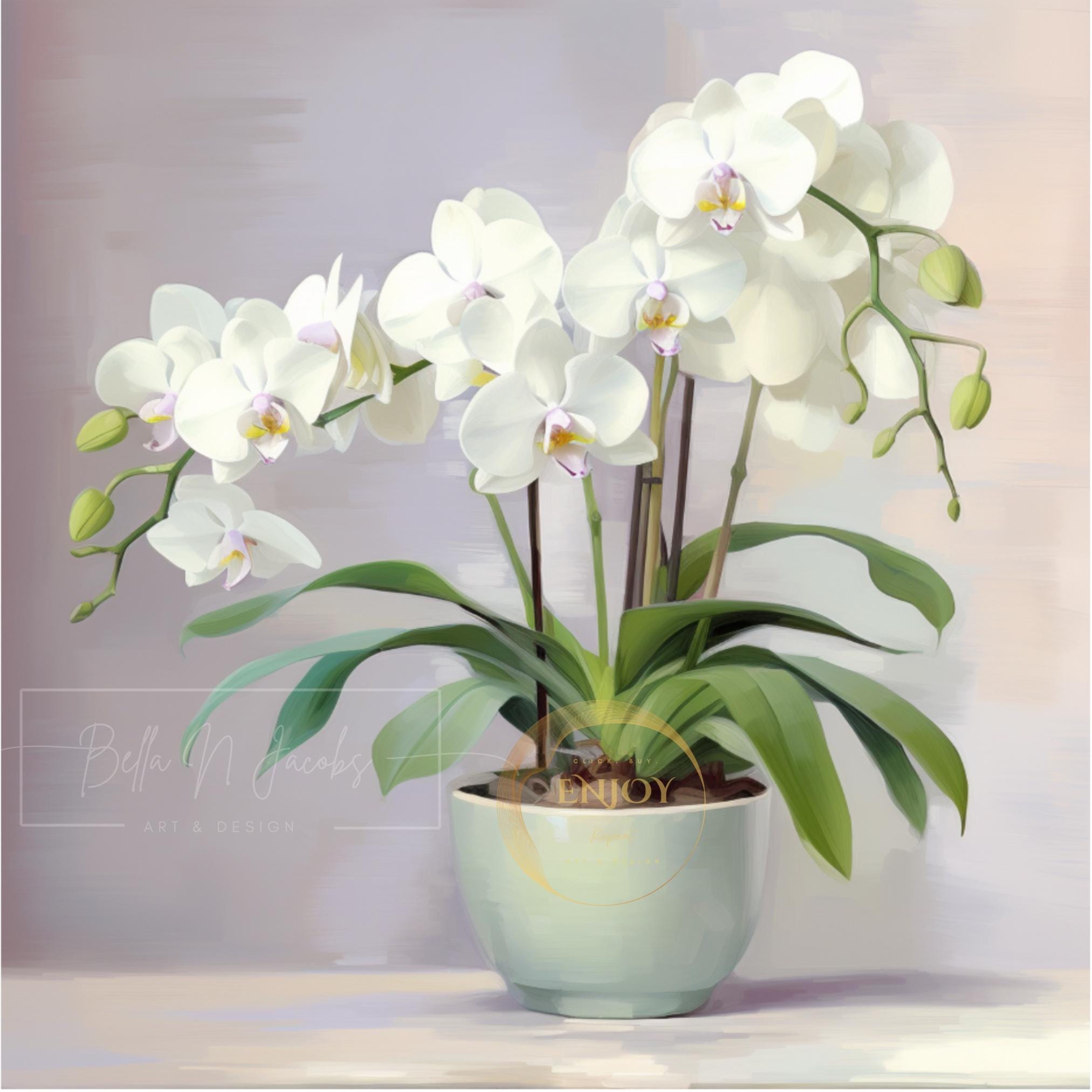 Defeating the Fire (@defeatingthefire) • Instagram photos and videos, image size:2025x2025