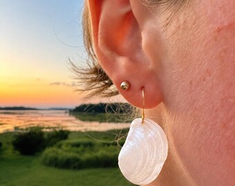 Natural Pandora Shell Dangle Earrings